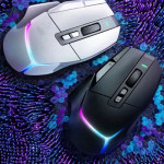Mouse