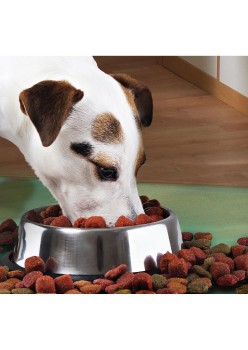 Castron Metalic pentru hranire animale de companie - 29cm