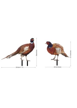 Set 2 Decoratiuni de Gradina, Flippy, Model Fazani, Fata-Verso, Multicolor