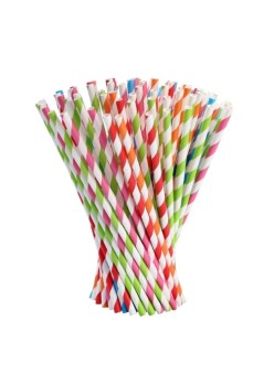 Set 25 Paie, Flippy, din Hartie, 20 cm, Model cu Dungi, Multicolor