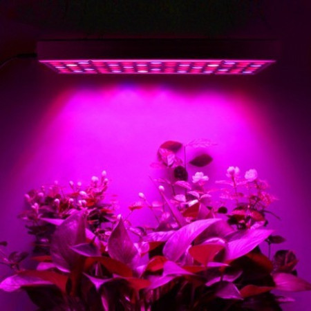 Lampa LED 45W Flippy, pentru cresterea plantelor in interior, 225 de leduri, 165 leduri rosii, 60 albastre, 30 x 30 cm, multicolor