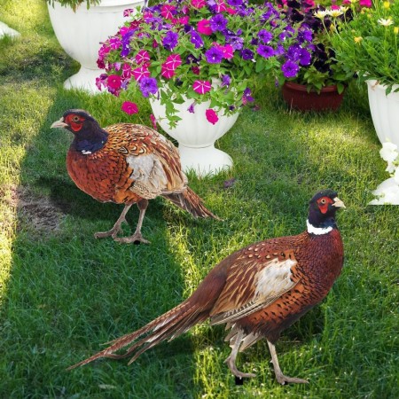 Set 2 Decoratiuni de Gradina, Flippy, Model Fazani, Fata-Verso, Multicolor