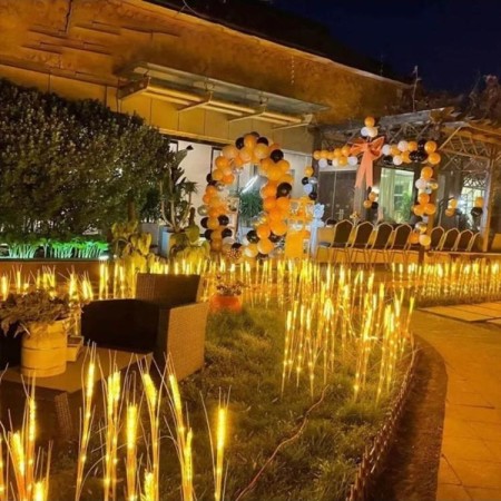 Lampă Solară LED Decorativă pentru Grădină - Design Spic de Grâu, Iluminare Ambientală, Rezistentă la Intemperii, 80 cm