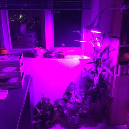 Lampa LED pentru Creșterea Plantelor, 290 LED-uri, 2 Culori, Fără Căldură, Cu Clips, 46x11.5x9.2 cm