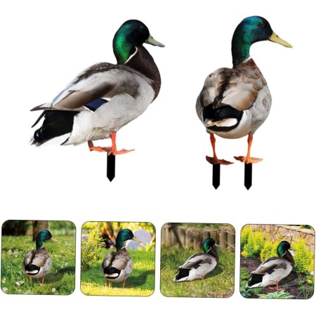 Set 2 Decoratiuni de Gradina, Flippy, Model Rata, Fata-Verso, Multicolor