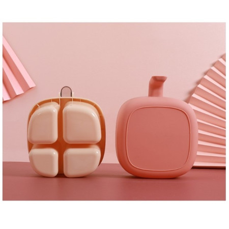 Set Recipient Condimente cu 4 Compartimente și Lingurițe, Capac cu Mâner, Ideal pentru Sare, Piper, Cimbru și Mixuri, 14x14x8 cm, Roz