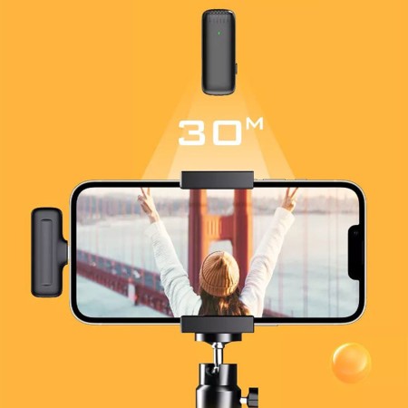 Microfon Lavaliera fara Fir, Mufa Type C (set 2) - Techsuit (LW3) - Black